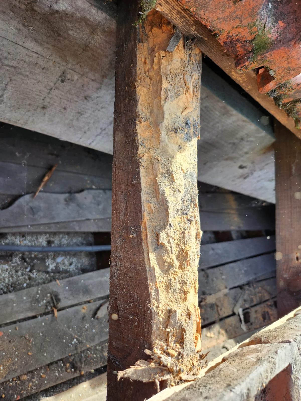 Charpente Saint-Maur-des-Fossés 94